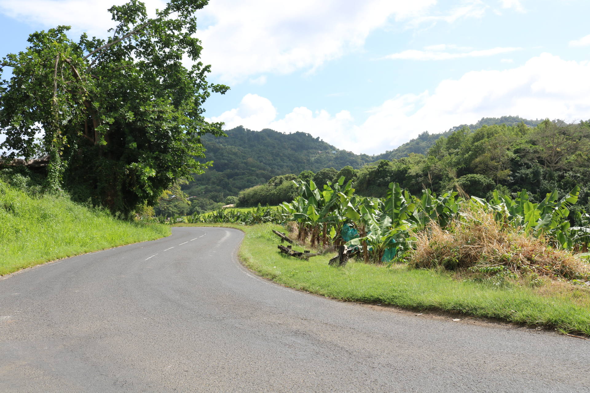 route des crêtes Martinique