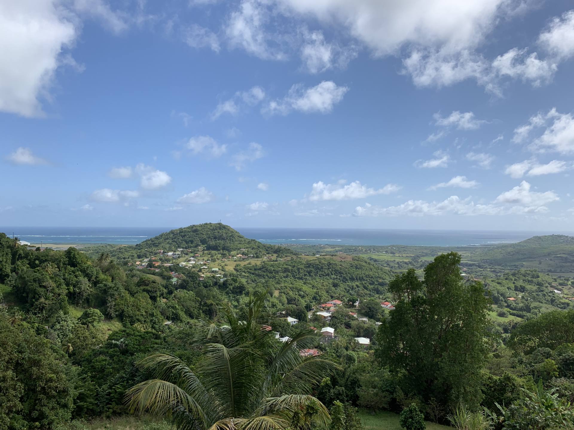 route des crêtes Martinique