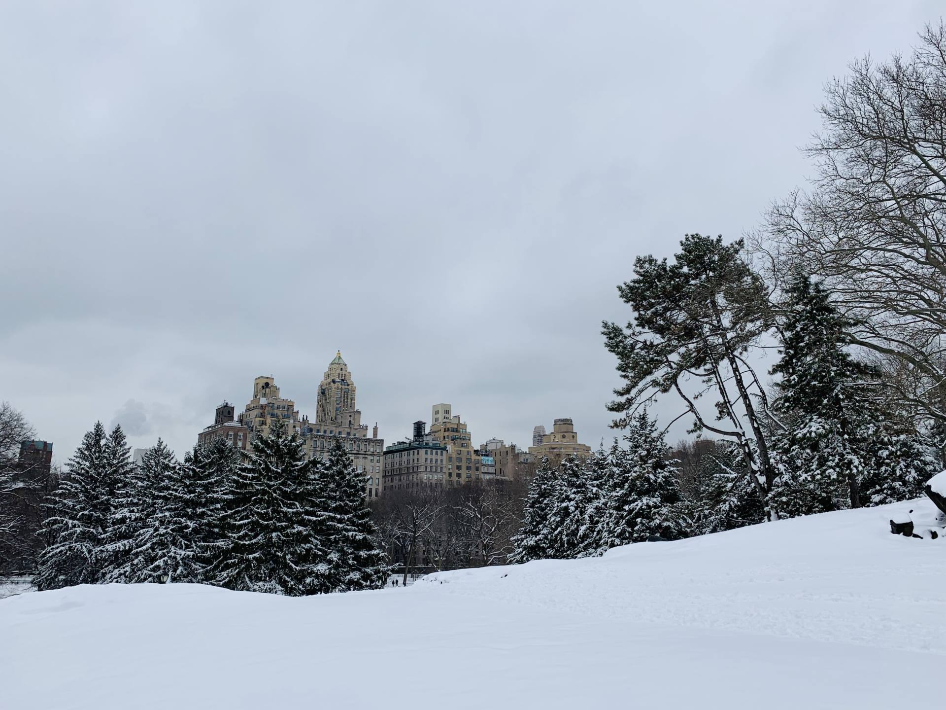 Central Park hiver New York