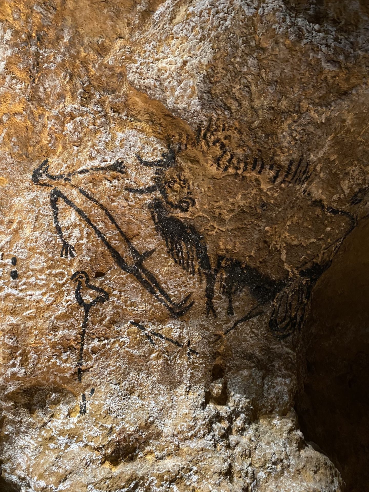 montignac-grotte-de-lascaux-9