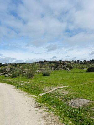 malpartida-de-caceres-estremadure-les-barruecos-8