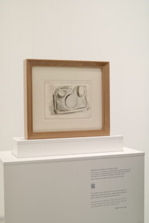 musee-helga-de-alvear-caceres-estremadure-12